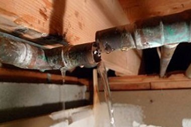 Licensed Maple Valley plumbing repair service in WA near 98038